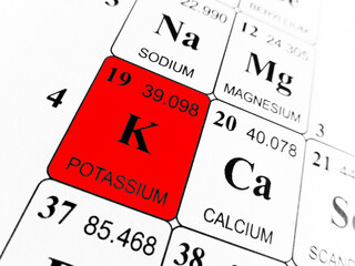 Potassium on the periodic table of the elements