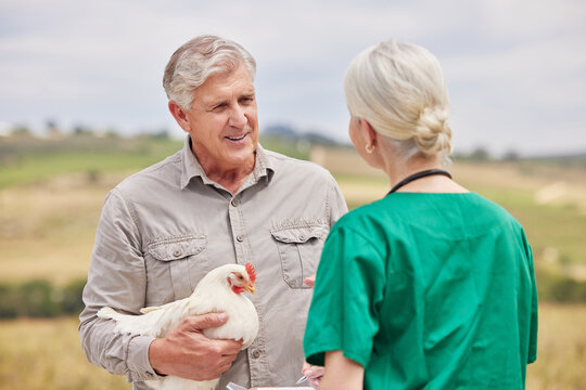 Do you have any nutritional recommendations for my livestock as well. Shot of a man having a discussion with a veterinarian on a poultry farm.