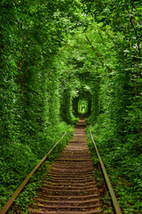 railway in the spring forest tunnel of love