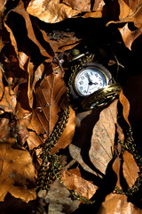 Pocket Watch Resting on Autumn Leaves