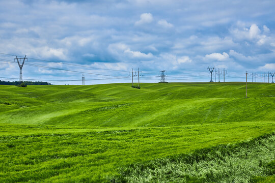 Electric poles in green wheat fields at daytime. Transportation of electricity.