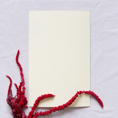 Blank greeting card, invitation and envelope mockup. Minimal floral frame made of dry flowers and branches. Flat lay, top view. Happy mother's day, women's day or birthday, wedding composition.