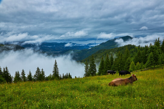 Majestic mountains landscape under morning sky with clouds. Overcast sky before storm. Carpathian, Ukraine