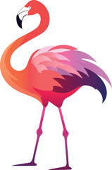 flamingo colorful vector illustration isolated on white background - obrazy, fototapety, plakaty