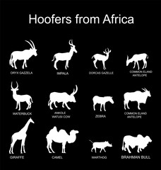Africa hoofers animals vector silhouette illustration isolated on black. Antelope, gazelle, giraffe, camel, zebra, bush pig, Brahman cow, impala, Oryx, Gemsbuck, Ankole Watusi bull, eland, waterbuck.