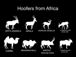 Africa hoofers animals vector silhouette illustration isolated on black background. Antelope, gazelle, camel, Brahman cow, impala, Oryx, Gemsbuck, Ankole Watusi bull, eland, kudu. Safari wildlife.
