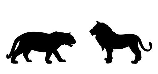 Tiger against lion vector silhouette illustration isolated on white background. Big dangerous cat from Asia vs animal king pride of Africa. Wildlife predator battle. Leo symbol. Strong powerful feline