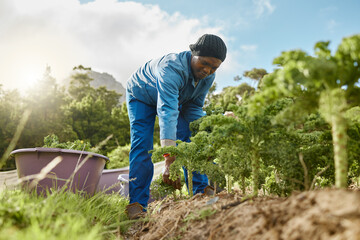 Remember, the land works for you. Full length shot of a male farm worker tending to the crops. © Kirsten D/peopleimages.com