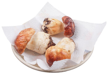 porcini mushroom transparent PNG