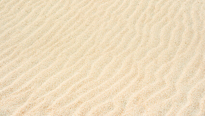 Fototapeta na wymiar Sand Texture. Brown sand. Background from fine sand. Sand background. Horizontal creative theme poster, greeting cards, headers, website and app