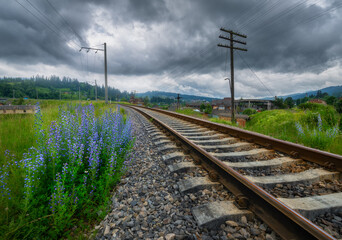 Fototapeta na wymiar Railroad in mountains and blue flowers in overcast day in summer. Railway station in village at dusk. Industrial landscape with railway platform, green trees and grass, dramatic cloudy sky, houses