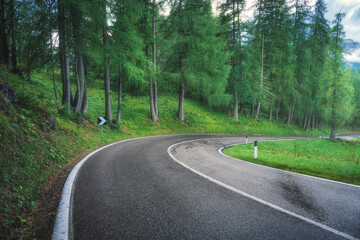 Road in green forest in rainy summer day. Dolomites, Italy. Beautiful mountain roadway, tress,...