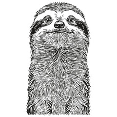 Funny cartoon Sloth, line art illustration ink sketch Sloths © Сергей Тарасюк