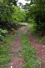 Obraz premium The country road crosses a stream - a small river