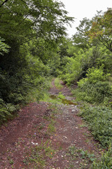 The country road meanders through nature, crosses a small stream, and continues on