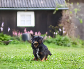 Fototapete bei efototapeten.de bestellen   