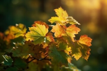 Fototapeta premium Natural autumn background with golden yellow and orange maple leaves glowing in the sun on a gentle blurry light green background. AI generative