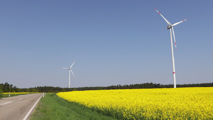a summer landscape against the backdrop of windmills