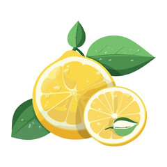 Juicy citrus fruit slice, fresh and ripe