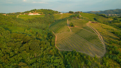 AERIAL: Beautiful golden morning sunlight over hills of viticultural country