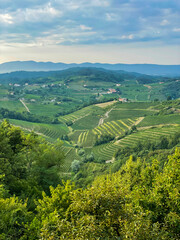 View of idyllic countryside with vine-covered terraced hills under cloudy sky