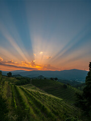 Breath-taking sunset above picturesque wine countryside with thriving vineyards