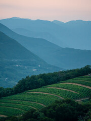 Dawn of the day above hilly wine-growing landscape with beautiful vineyards