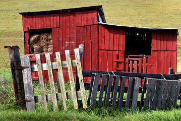 Boxy Barn Filled With Hay