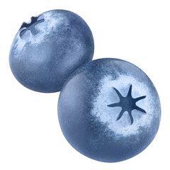 Two delicious blueberries cut out