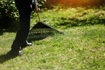 Unrecognised man is raking leaves with a plastic black rake. Cleaning of garbage and dry grass from...