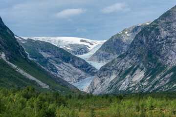 Fototapeta na wymiar Landscape view of the Nigardsbreen melting glacier and the forest in Norway