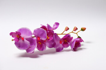 Artificial purple orchid made of special fabric on a white background. Studio shoot. Isolated.