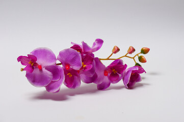 Fototapeta na wymiar Artificial purple orchid made of special fabric on a white background. Studio shoot. Isolated.