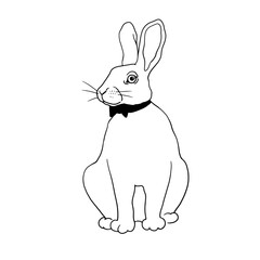 Linear image of a hare in a bow tie. Monochrome graphics. For printing stickers, labels, logos, etc. Vector hare. Drawing of a white rabbit. Rabbit sits and looks.