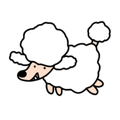 smiling white poodle, character design, cute cartoon isolated , graphic design for presentation, marketing, art, illustration, t-shirt design, cartoon, comic, advertising, online media