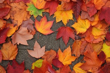 Naklejka na ściany i meble autumn leaves background. Generative AI