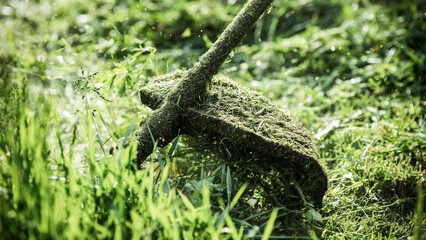 mowing the grass with a lawn mower, garden work concept background