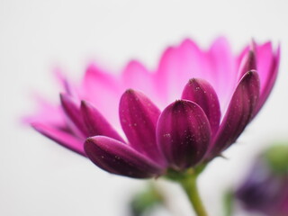 OLYMPUS DIGITAL CAMERA
ISO-200
f/5.6
1/80 sec.