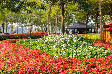 Colorful flowers blooming in garden,springtime.