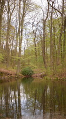 Fototapeta na wymiar Pond with trees around taken in spring