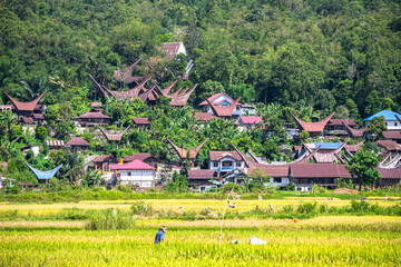 traditional village of tana toraja land, indonesia