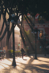 Persona caminando en el zócalo de Puebla bajo los rayos del sol durante una mañana 