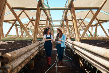 Using smart tools at their disposal for effective crop care. Shot of two young women using a digital tablet while working together on a farm.