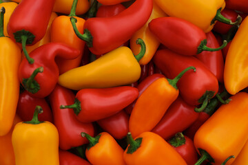 Yellow and red hot chili peppers as background, top view