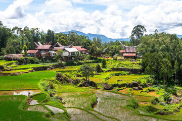 traditional village of tana toraja land, indonesia