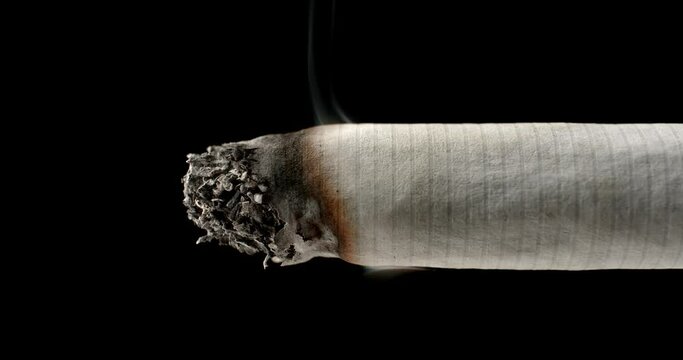 Close up of the end of a lit cigarette slowly burning and turning to ash.