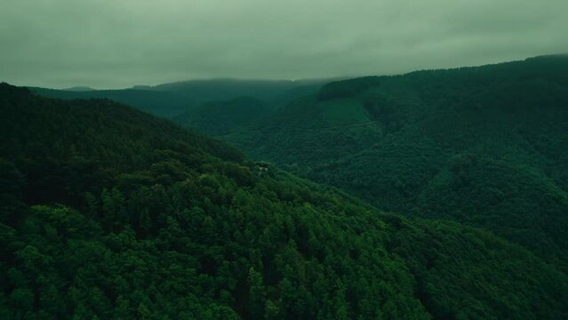 Dreamy Basque Country Euskadi mountain and forest 4K drone