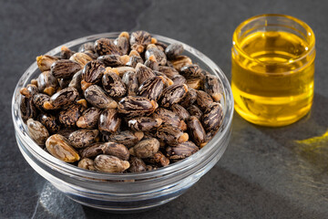 Oil, seeds and fruits of Ricinus communis - Medicinal product