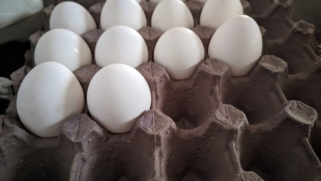 egg wallet, blanquillos, egg, hen, protein, expensive, economy, mexico, ranch, food, breakfast, raw, shell,