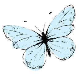 Rysunek niebieski motyl dekoracja © Monika Janiak-Klicha